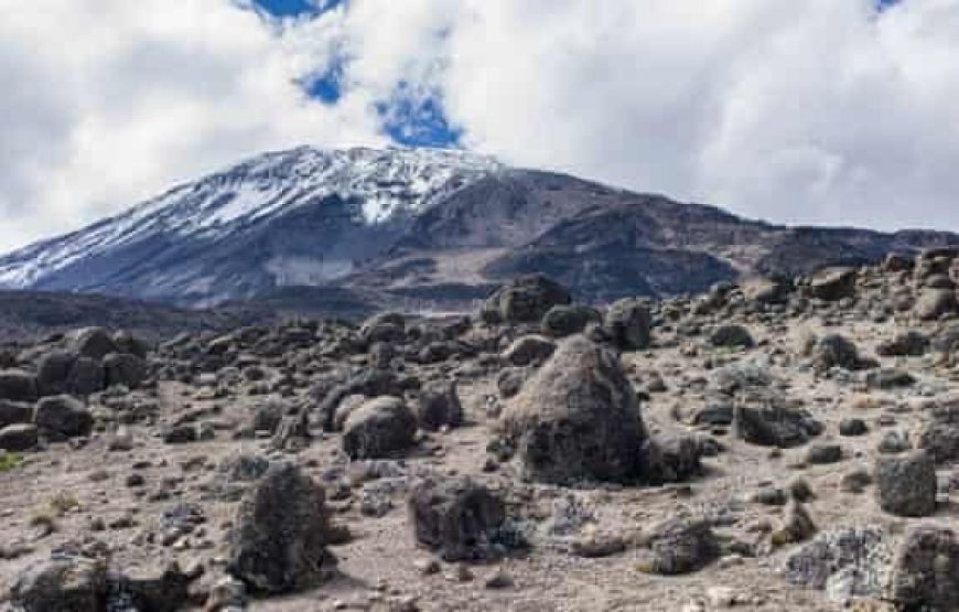 6 Days Climbing Mount Kilimanjaro Machame Route