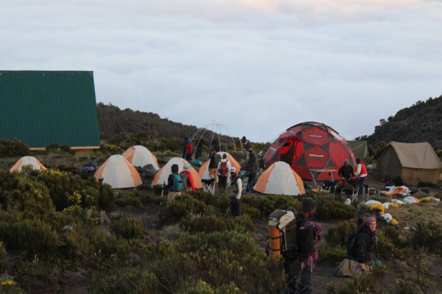 6 Days Kilimanjaro Climb Rongai Route