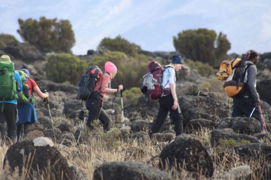 7 Days Kilimanjaro Climb Machame Route