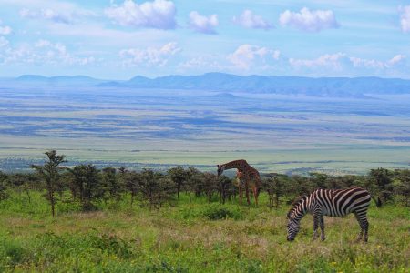 3 Day Camping Safari Serengeti Ngorongoro