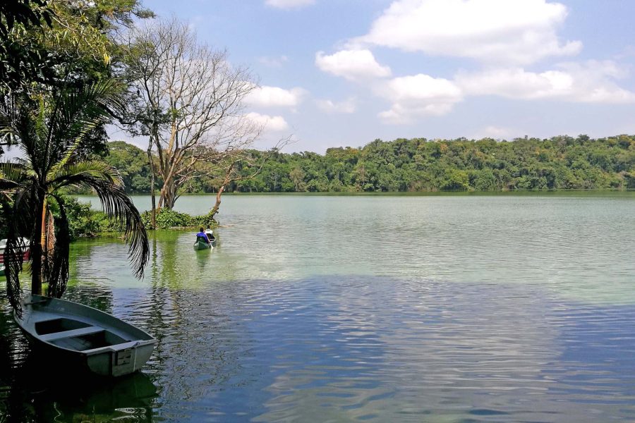 Lake duluti Canoeing/kayaking &/or cycling adventure with lunch