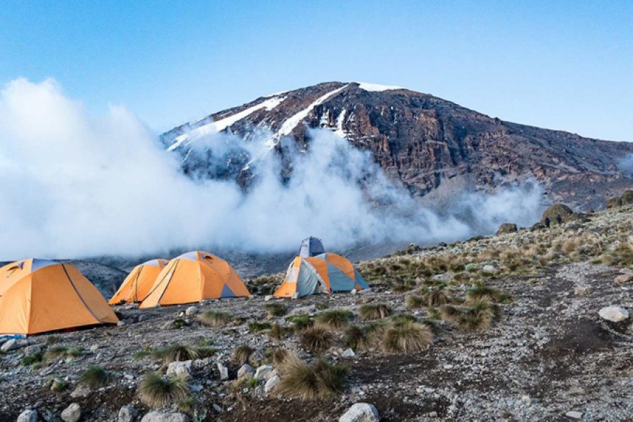 Day Trip Kilimanjaro Shira Plateau from Moshi