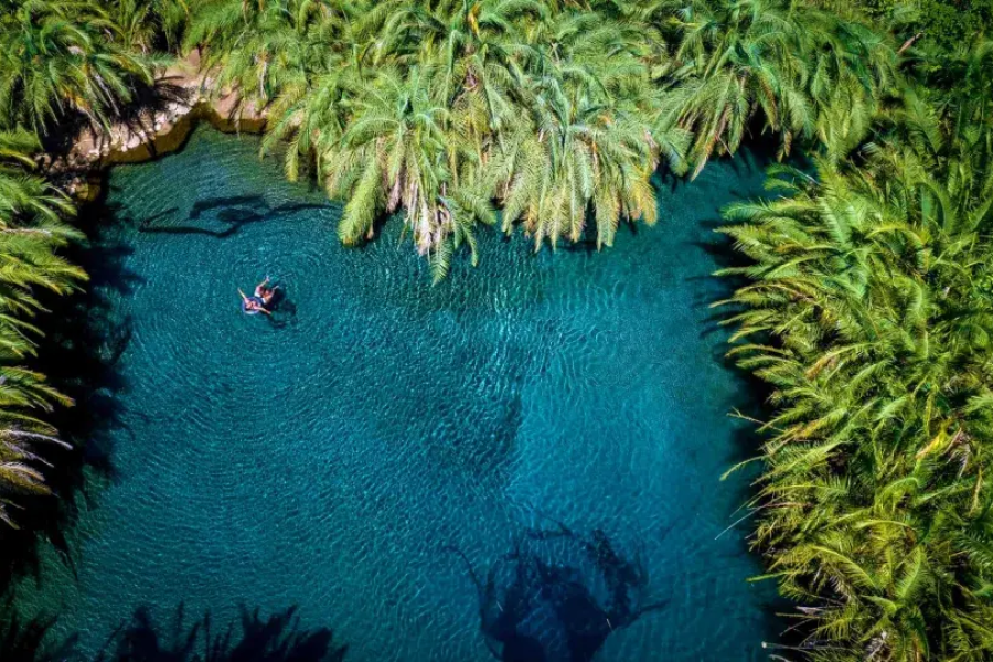 Chemka Hotsprings and Serval wildlife Private Day Trip