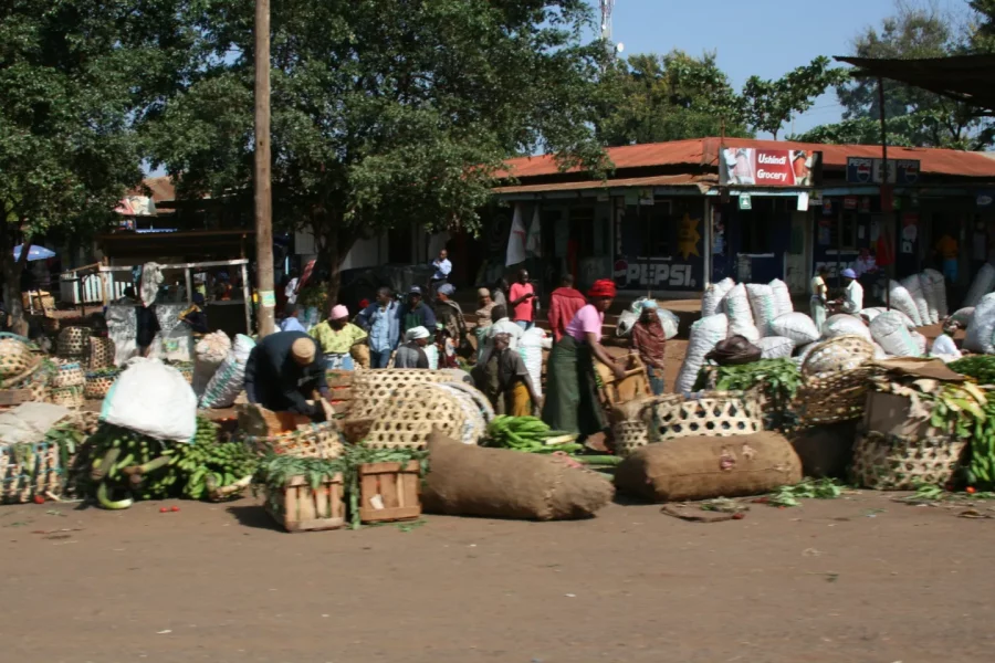 Moshi Town tour and Local Markets tour