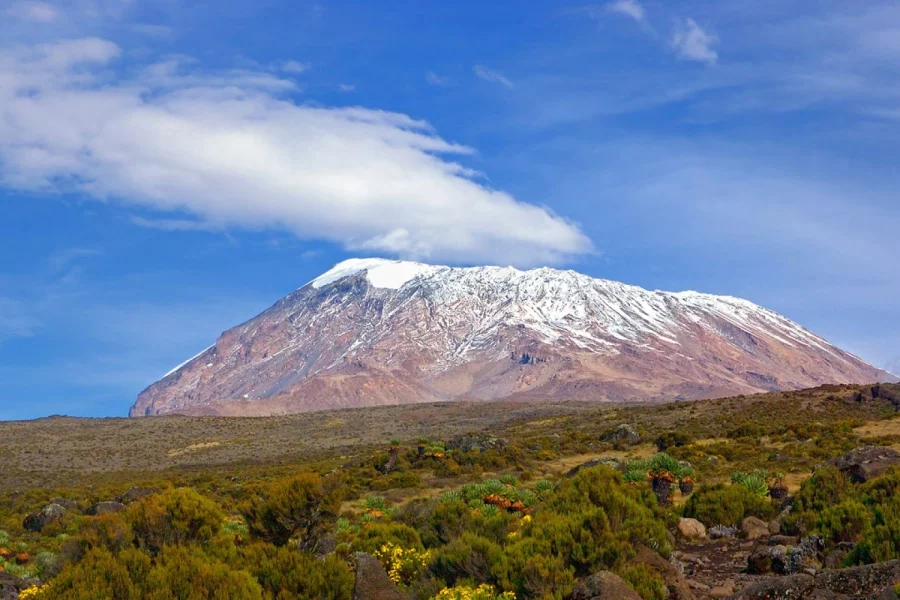 Kilimanjaro Hike Day Trip with Maundi Crater Visit
