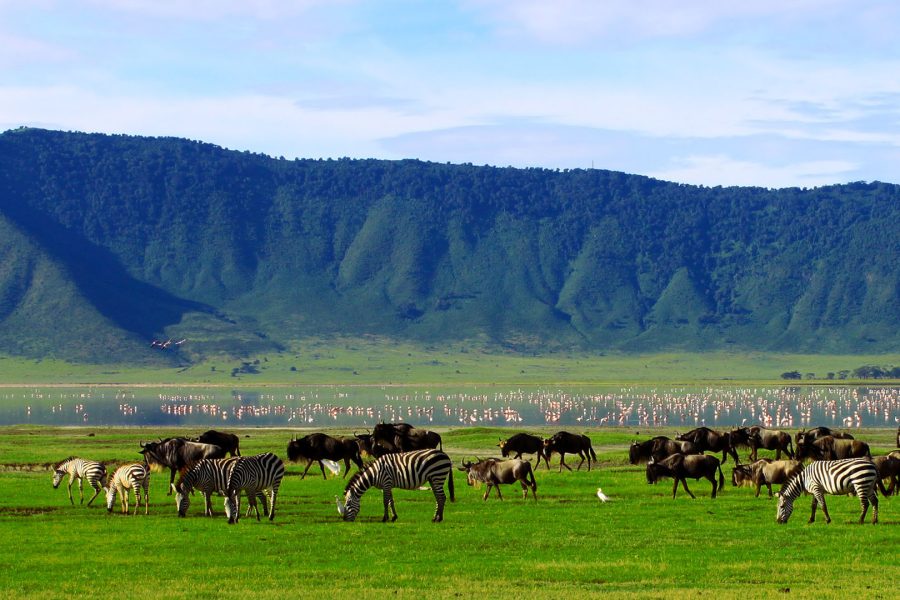 3 Days Serengeti and Ngorongoro Midrange Safari