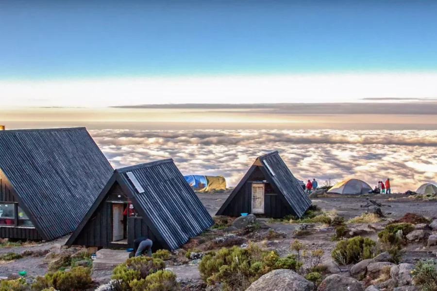 3 Days Amazing Kilimanjaro Hike & Tarangire Safari