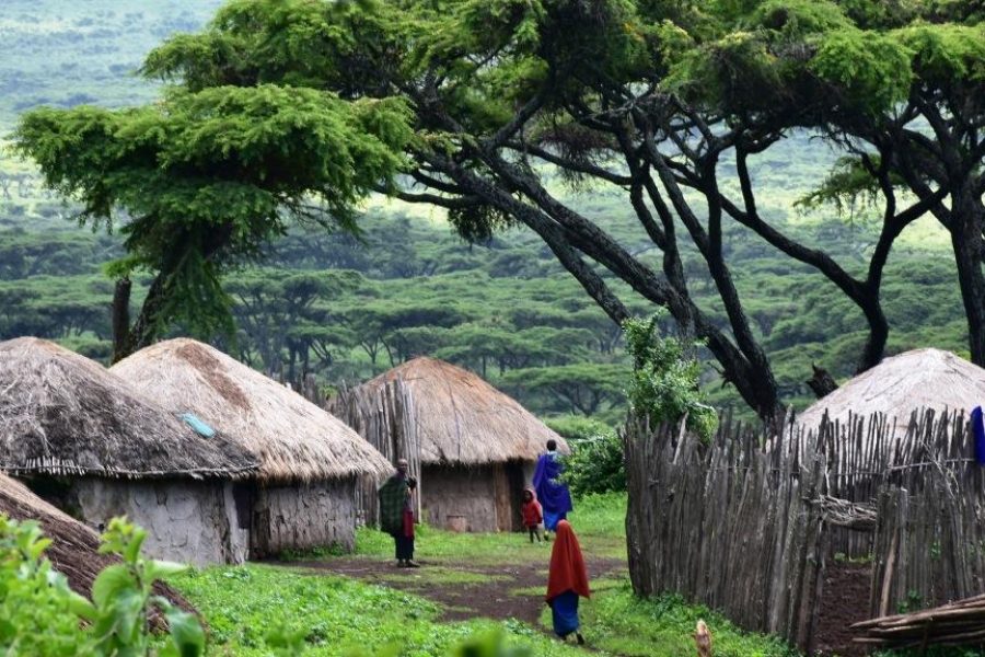 Maasai Village Visit, Waterfalls, & Coffee Tour