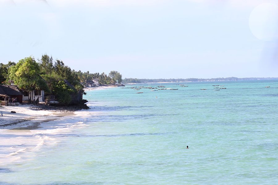 Day Tour Paje/Jambian Safari Blue Snorkelling with Lunch