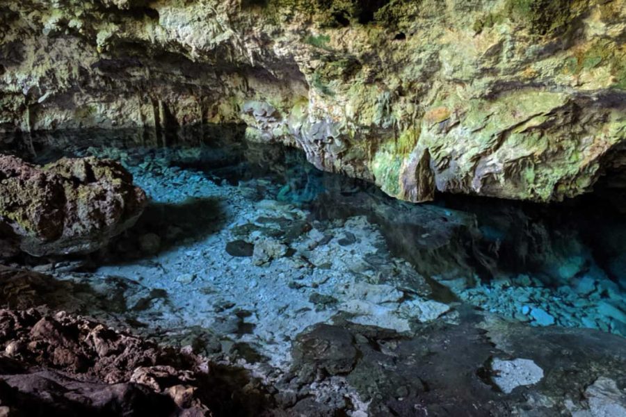 Day Tour Mnemba Island, Monkey Tour, Kuza Cave, Paje Beach, The Rock