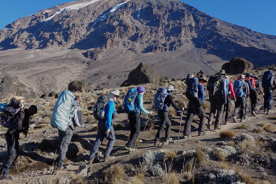 1 Day Mount Kilimanjaro Day Trekking via Marangu Route