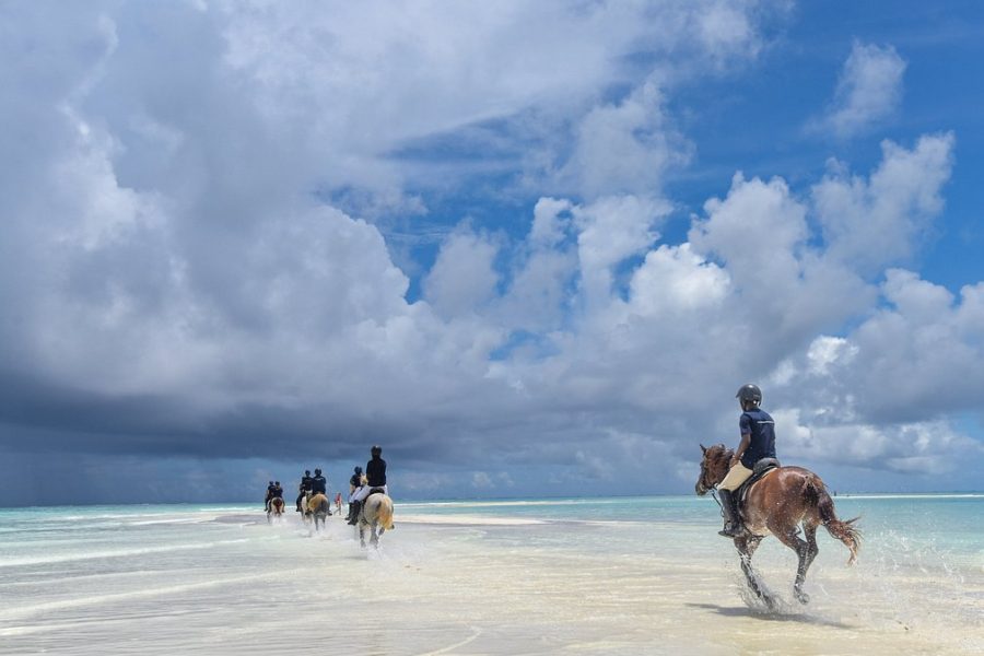 Zanzibar Beach Horseback Ride and Swim with the Horse
