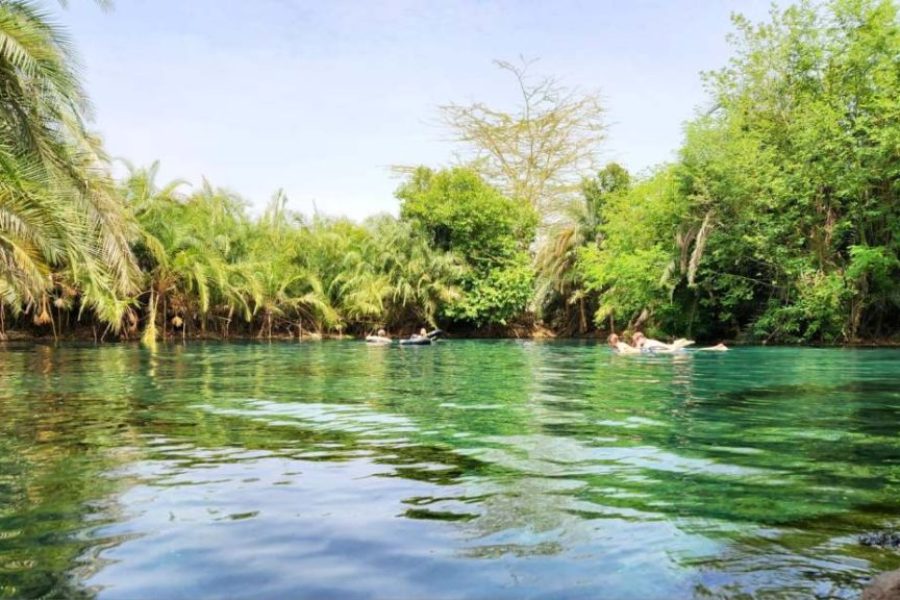 Materuni Waterfall and Kikuletwa Hot Springs Day