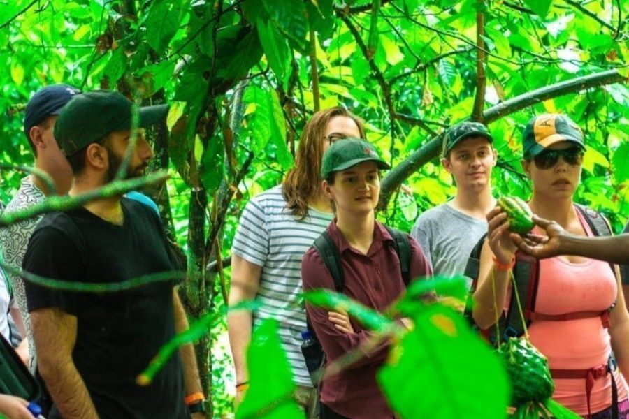 Spice farm & Walking tour in Stone Town