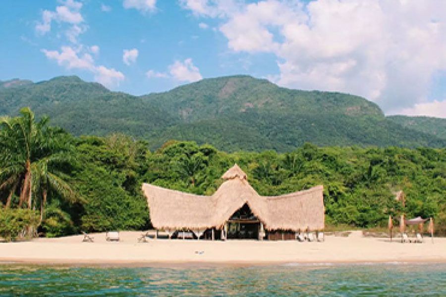 4 Days 3 Nights Mahale Chimpazee Safari