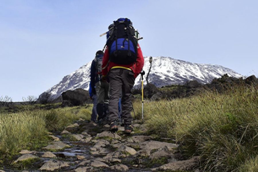 5 Days 4 Nights Kilimanjaro Climb Marangu Route