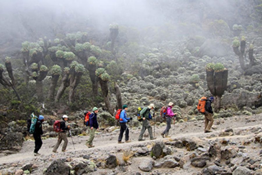 6 Days 5 Nights Kilimanjaro Climb Machame Route