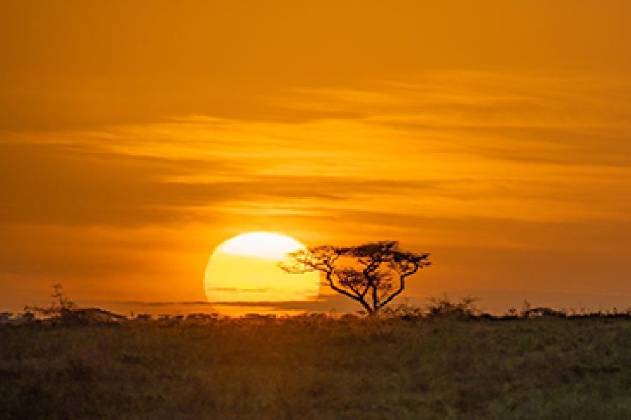 7 Days Northern Tanzania Budget Safari