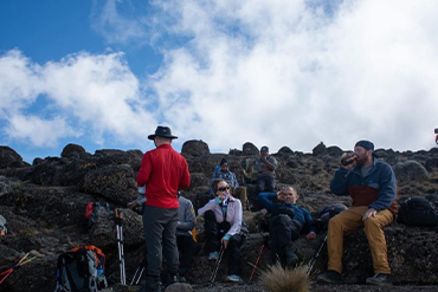 8 Days 7 Nights Kilimanjaro Climb Lemosho Route