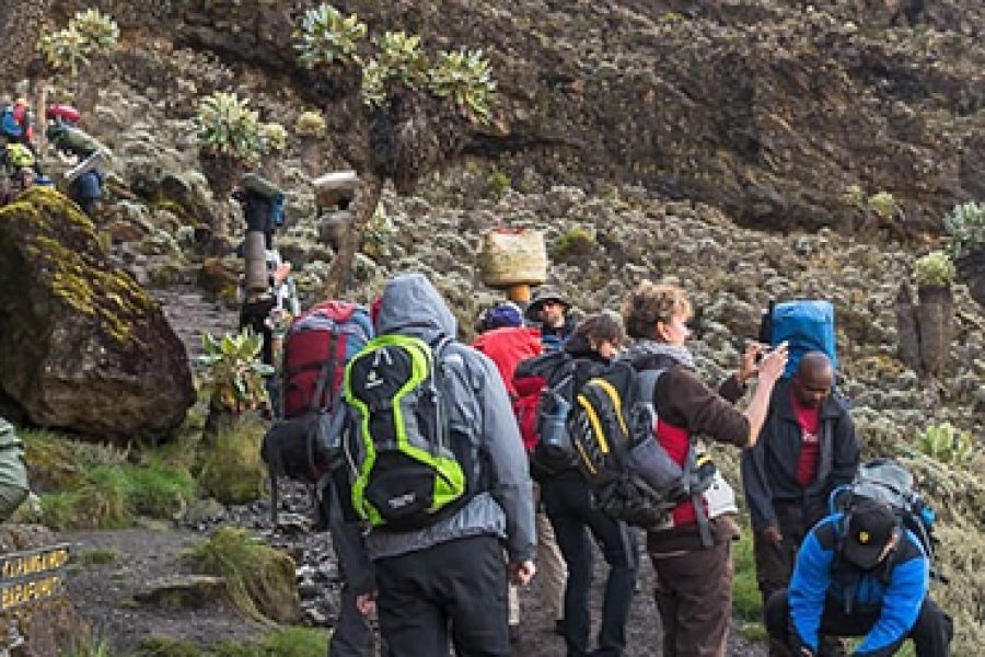 Kilimanjaro Climb 6 Days Shira Route