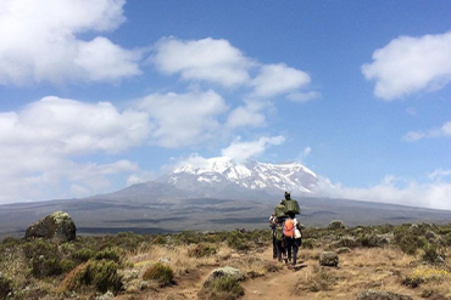 7 Days 6 Nights Kilimanjaro Climb Rongai Route