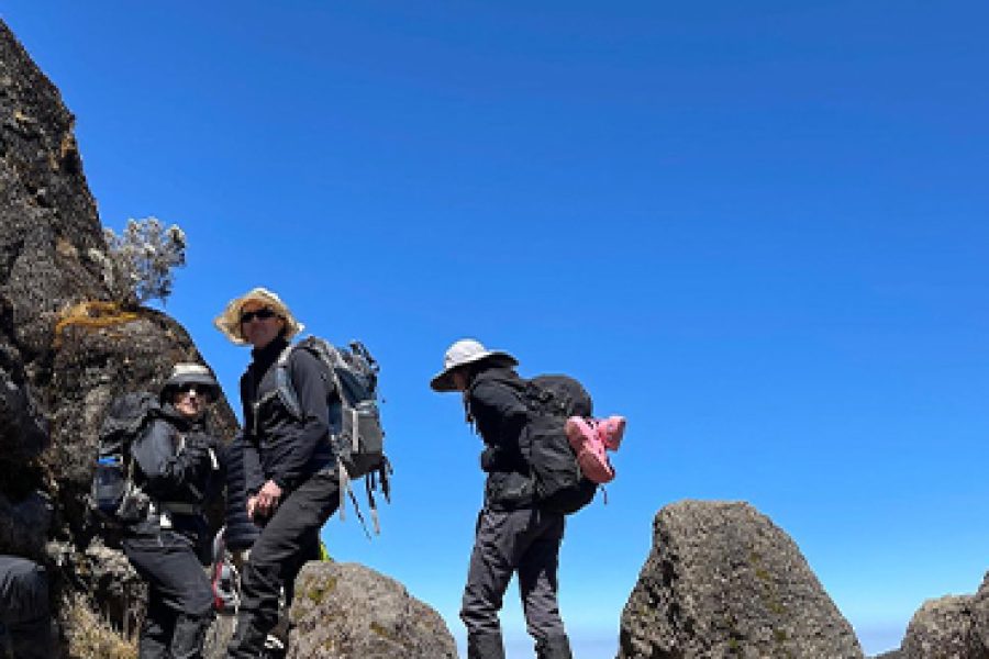 9 Days Kilimanjaro Climb Northern Circuit Route