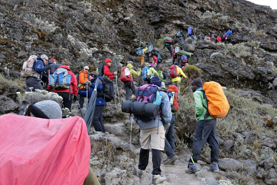 Day Hike on Mount Kilimanjaro